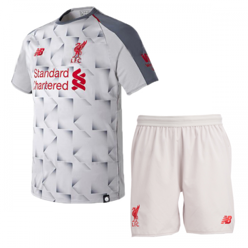 grey liverpool jersey